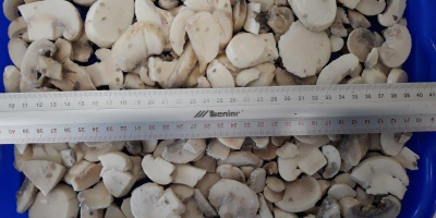 Vendo funghi congelati a fette, a cubetti o in