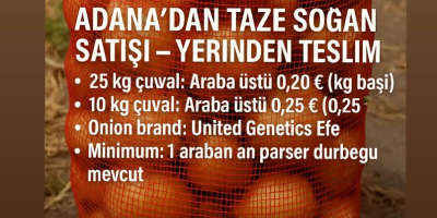 Vendiamo cipolle fresche da Adana Türkiye per il ritiro