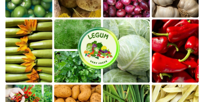 RGI DAR FRESH SRL is a Romanian company established