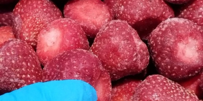 Fragole congelate IQF Grado: A (con analisi microbiologica e