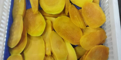 Mango IQF (con analisi microbiologica e di pesticidi) Confezione: