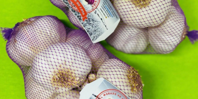 SPANISCHER LILA KNOBLAUCH: Unser lila Knoblauch zeichnet sich aus