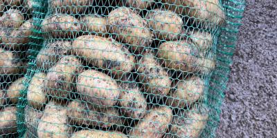 Verkaufe neue Kartoffeln verfügbar 10 Tonnen