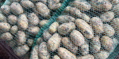 Verkaufe neue Kartoffeln verfügbar 10 Tonnen