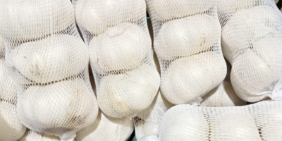 Aglio essiccato 2025 Inizio Esportazione dall&#39;Uzbekistan aglio rosso aglio