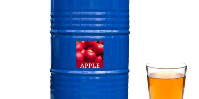 Puree / Concentrated juice export from Uzbekistan Concentrated puree