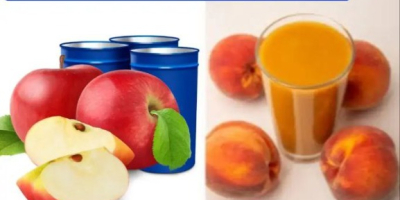 Puree / Concentrated juice export from Uzbekistan Concentrated puree