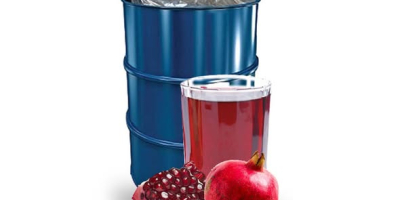 Puree / Concentrated juice export from Uzbekistan Concentrated puree