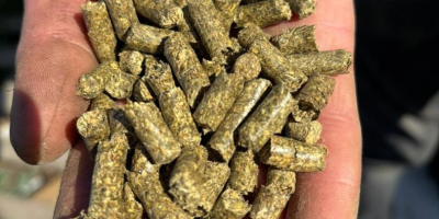 Alfalfa pellets are high-quality animal feed made by pressing