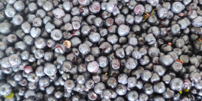 Bună ziua, aș dori să cumpăr 200-400 kg de