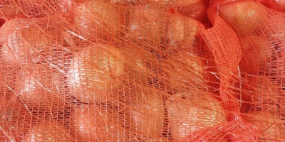 We have 22 tons of yellow onions available for