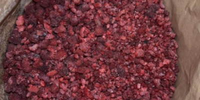 IQF crushed raspberries for jam or gris