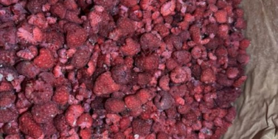 IQF crushed raspberries for jam or gris