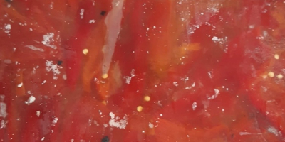 Dear Partners, We are a certified agricultural producer located