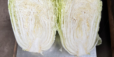 I have industrial Chinese cabbage for sale, ranging from