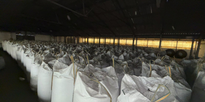 We offer Organic-biosuisse oat, 50 tonns, high quality, price