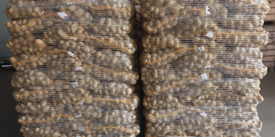Vând cartofi tineri comestibili, testați PHYTO. Cantități complete. Mă