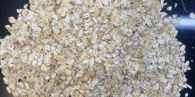 Oat Flakes – Ukrainian Origin | Wholesale | Delivery