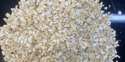 Oat Flakes – Ukrainian Origin | Wholesale | Delivery