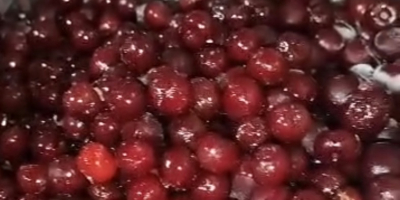 Unpitted frozen sour cherries MOQ: 1FTL ( 22 Ton)