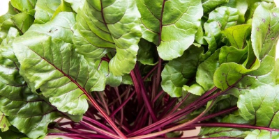 We buy beetroot leaves in bulk. They can be