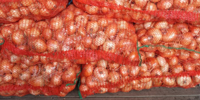 Ich verkaufe Studgarter-Zwiebeln, verpackt in 25-kg-Säcken, im Dorf Hatuica