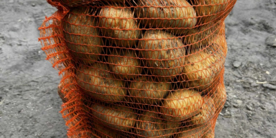 Üdvözlöm, étkezési burgonyát árulok, dénár fajtából, ára 1,20 PLN/kg.