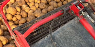 Potatoes are sold for €0.30 per kg. [Telephone] We