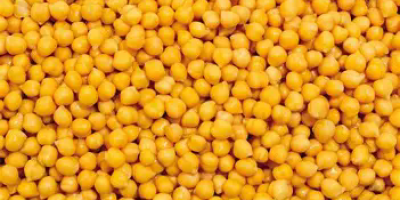 I am selling organic peas, all details by phone