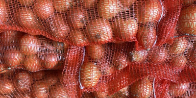 Selling : Onion , Carrotes, Parsnip , Potatoes 10kg