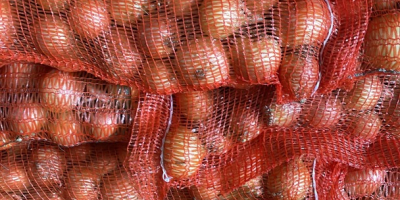 Selling : Onion , Carrotes, Parsnip , Potatoes 10kg
