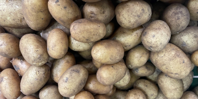 Selling : Onion , Carrotes, Parsnip , Potatoes 10kg