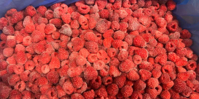 Продаћу оригиналне малине, 80/20 и гриз.