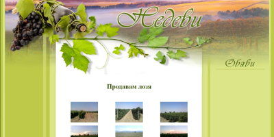 Muscat, Chardonnay - începând cu 1.09.25 Merlot - începând