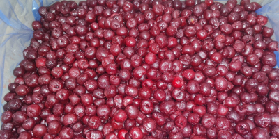 I am selling IQF sour cherries, class I, without