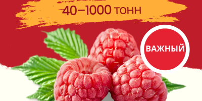 Qualità: 95/5 o &gt;90% di contenuto di bacche intere