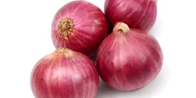 Organic red onions relieving a number of diseases including
