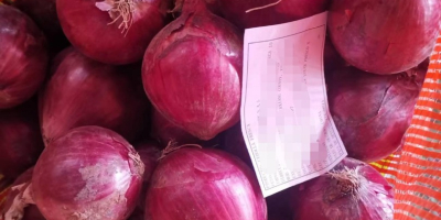 Organic red onions relieving a number of diseases including