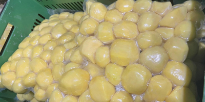 Oferim legume proaspete, de cea mai bună calitate, curățate