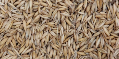We are selling approximately 60 tons of oats from