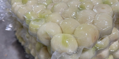 1. Frische geschälte Zwiebeln - weiß und rot -