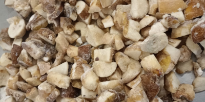 Wild mushrooms, chanterelles, and porcini mushrooms. Selling fresh and