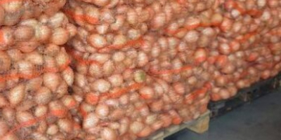 I&#39;m selling onions in hard skins. 4.5+ caliber. We