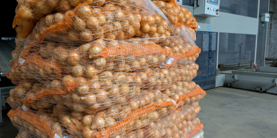 Offriamo un&#39;ampia selezione di cipolle: gialle, rosse e scalogno.