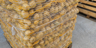 Продавам жълти и червени картофи в чували от 5,