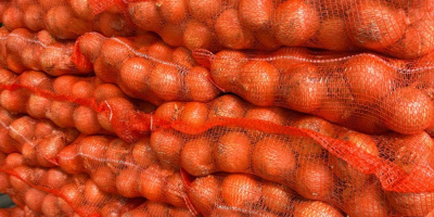 We sell yellow onions, sorted, 50/70 caliber. Big bag