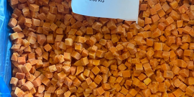 Premium-Qualität tiefgekühlte Karottenwürfel 10*10