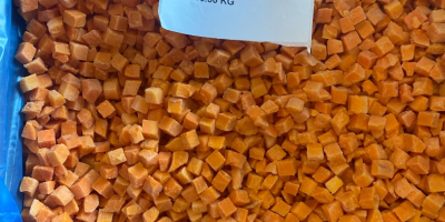 Premium-Qualität tiefgekühlte Karottenwürfel 10*10
