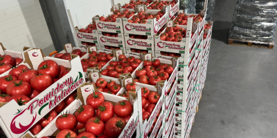 Bună ziua! JAREX oferă roșii zmeură 1B, 2B și