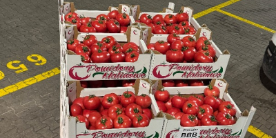 Bună ziua! JAREX oferă roșii zmeură 1B, 2B și
